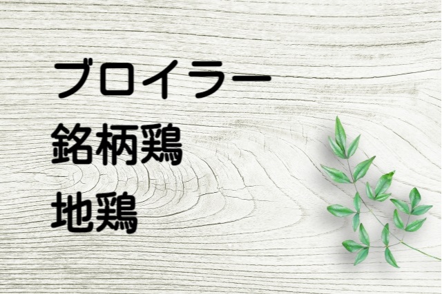 鶏肉の種類